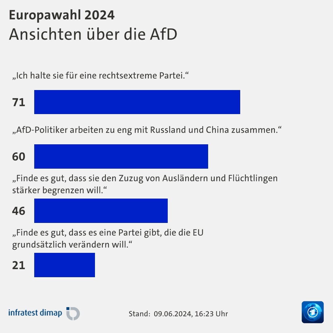 Ansichten über die AfD