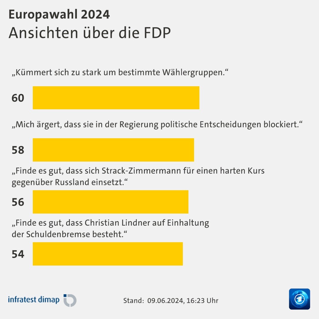 Ansichten über die FDP