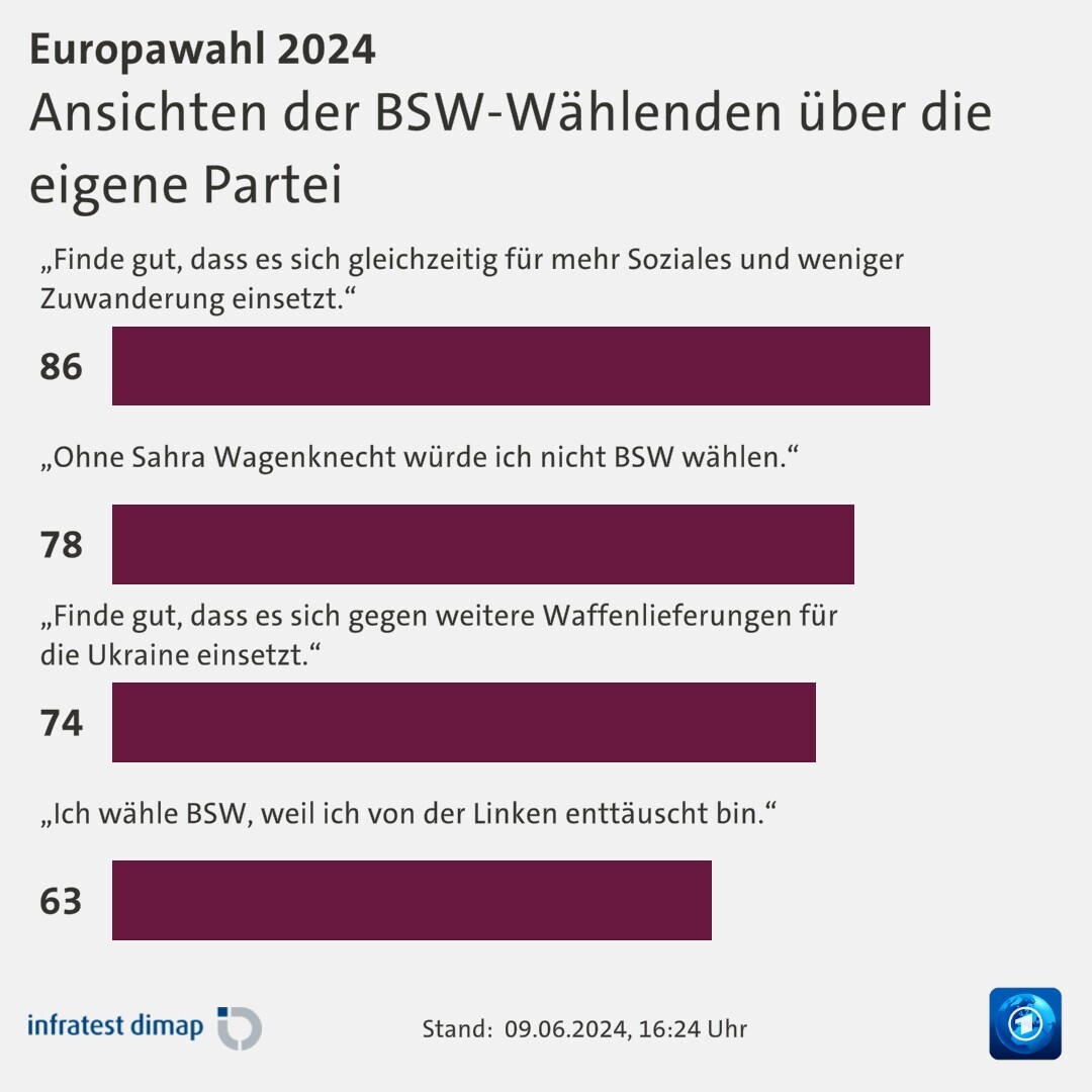 Ansichten der BSW-Wählenden über die eigene Partei