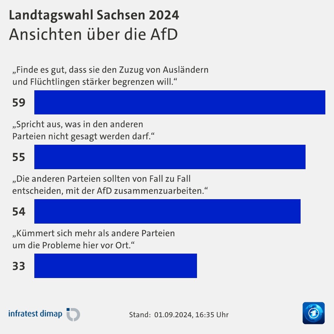 Ansichten über die AfD