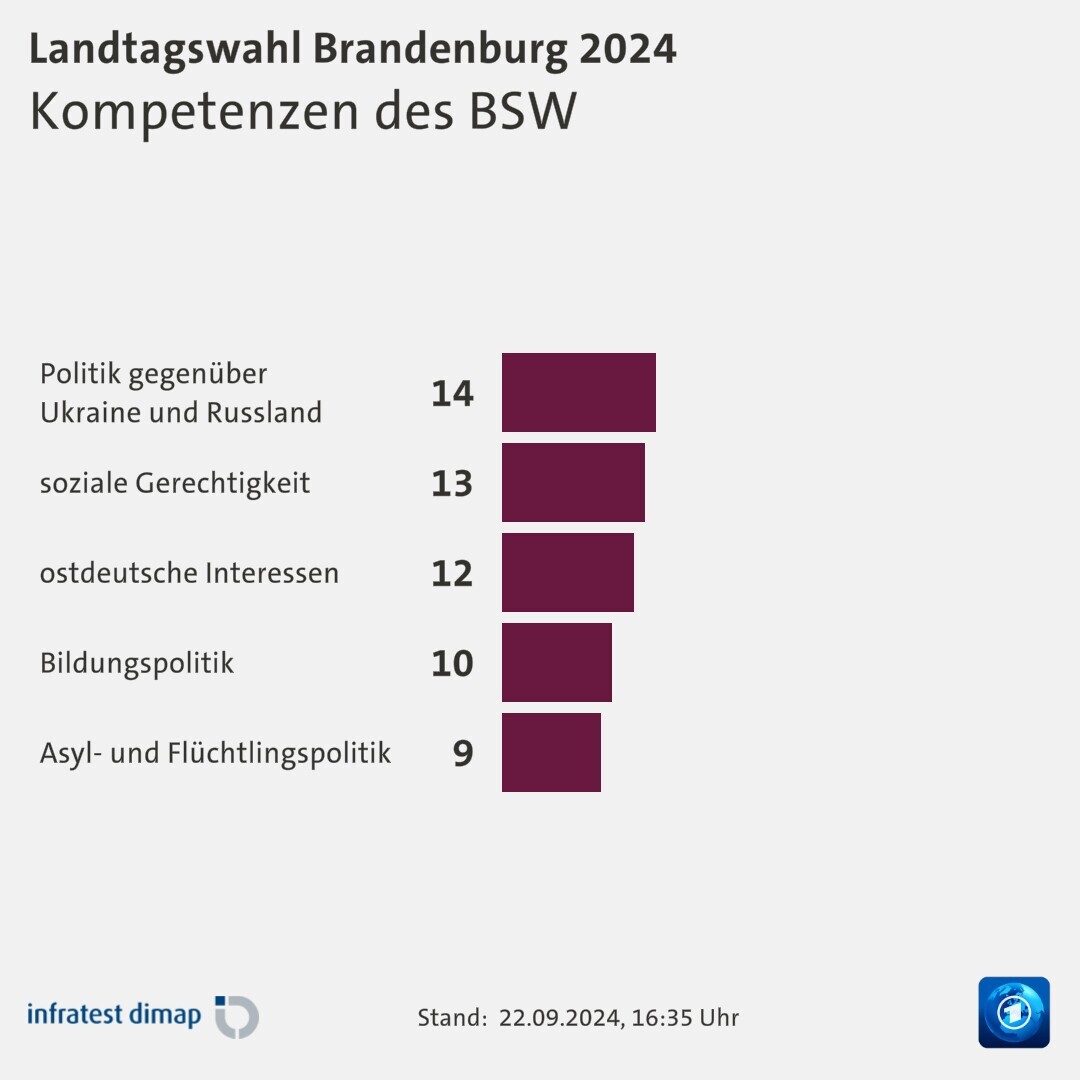 Kompetenzen des BSW