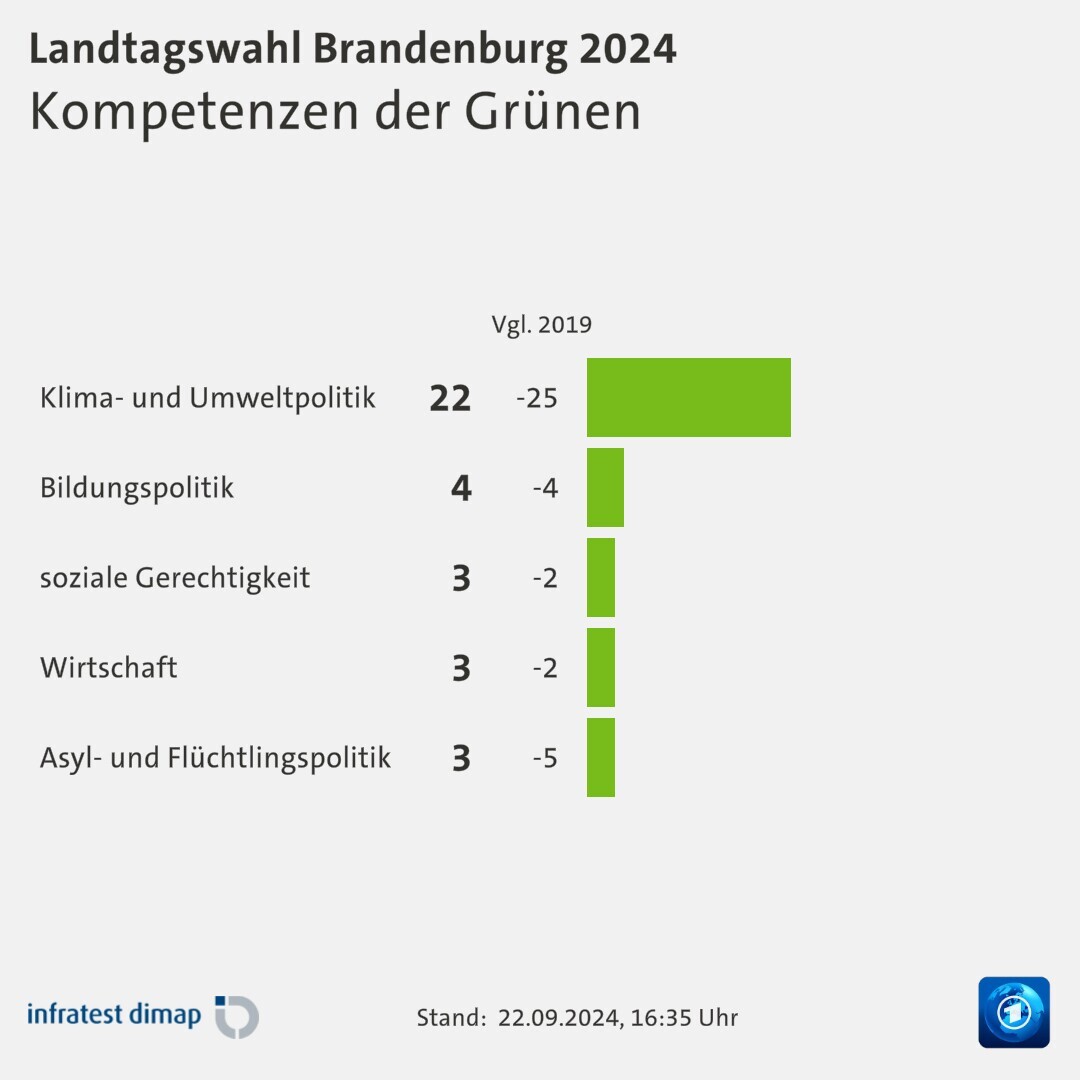 Kompetenzen der Grünen