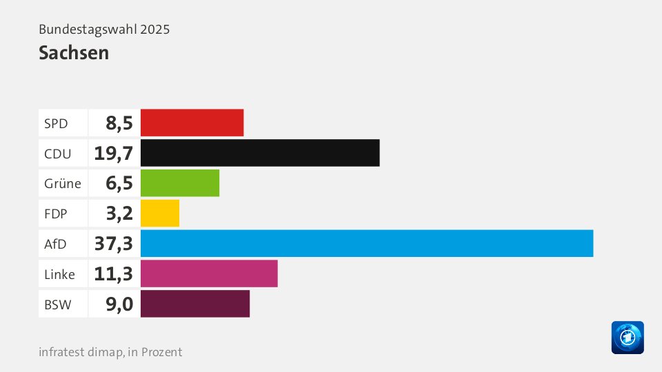 VorlaeufigesEndergebnis, : SPD 8,5; CDU 19,7; Grüne 6,5; FDP 3,2; AfD 37,3; Linke 11,3; BSW 9,0; Quelle: Bundeswahlleiterin